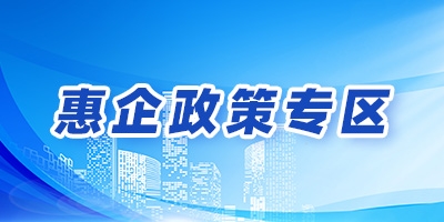 惠企政策专区